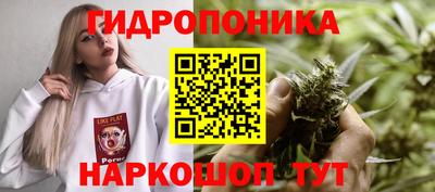 соль ск Ачхой-Мартан
